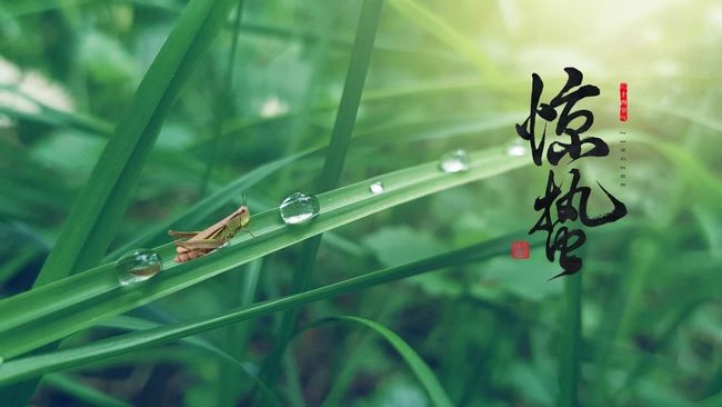 【中醫(yī)護理門診】驚蟄，養(yǎng)生保健正當時(圖1)