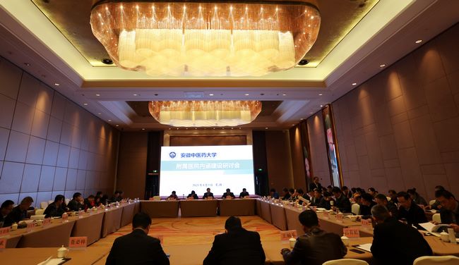安徽中醫(yī)藥大學(xué)附屬醫(yī)院內(nèi)涵建設(shè)研討會(huì)在蕪湖召開(圖13)
