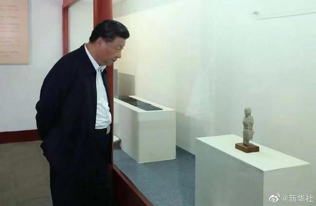 習近平：進一步發(fā)展中醫(yī)藥(圖3)