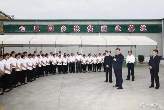 習近平：進一步發(fā)展中醫(yī)藥(圖6)
