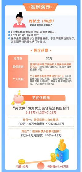 蕪湖市補(bǔ)充醫(yī)保“蕪優(yōu)?！闭缴暇€(圖2)