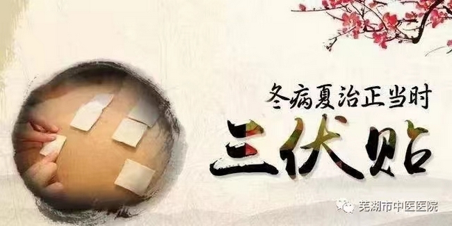 蕪湖市中醫(yī)醫(yī)院三伏貼來(lái)啦！冬病夏治的法寶(圖1)