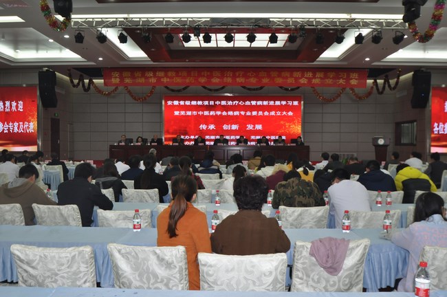 蕪湖市中醫(yī)藥學(xué)會(huì)絡(luò)病專業(yè)委員會(huì)成立(圖1)