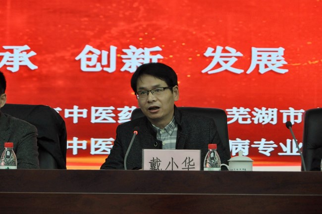 蕪湖市中醫(yī)藥學(xué)會(huì)絡(luò)病專業(yè)委員會(huì)成立(圖4)