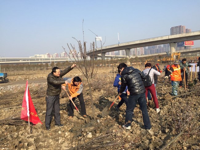 我院職工積極參加 “義務(wù)植樹(shù)”公益活動(dòng)(圖1)