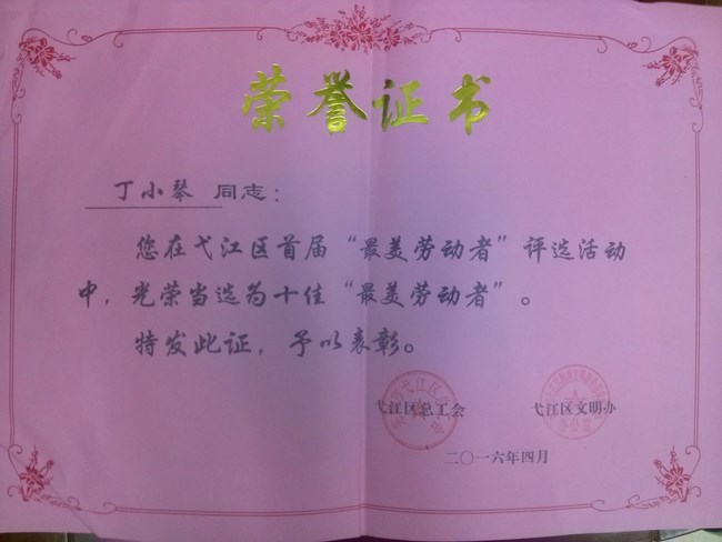 護(hù)士丁小琴榮登弋江區(qū)十佳“最美勞動者”榜單(圖4)