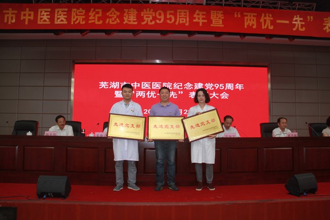 我院舉行紀(jì)念建黨95周年暨“兩優(yōu)一先”表彰大會(huì)(圖9)