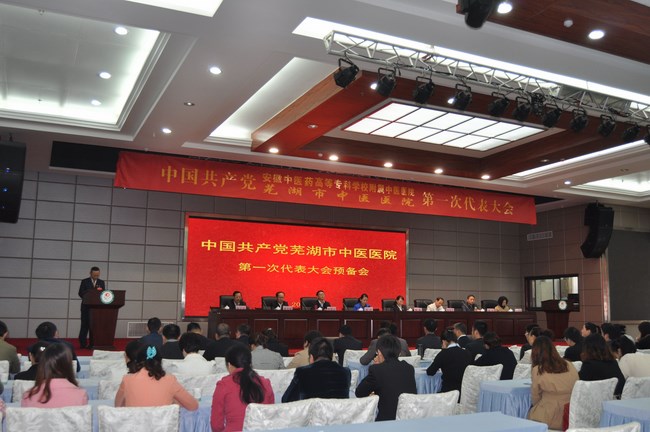 我院第一次黨員代表大會預(yù)備會召開(圖1)