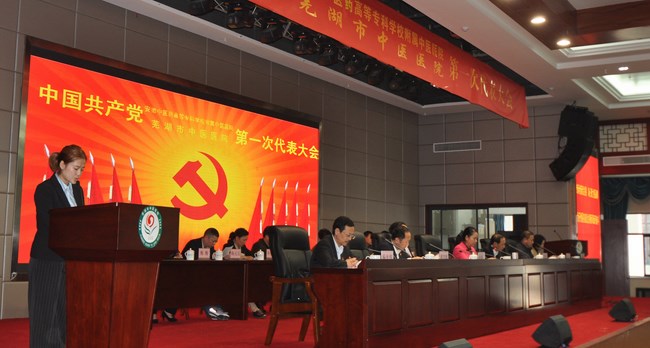 我院第一次黨員代表大會(huì)勝利閉幕(圖1)