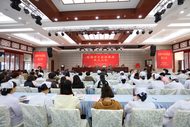 乘十九大春風(fēng) 譜中醫(yī)藥發(fā)展新曲 ——蕪湖市中醫(yī)藥集團(tuán)成立大會(huì)順利舉行(圖1)