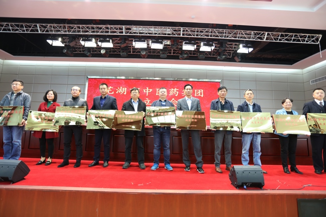 乘十九大春風(fēng) 譜中醫(yī)藥發(fā)展新曲 ——蕪湖市中醫(yī)藥集團(tuán)成立大會(huì)順利舉行(圖8)