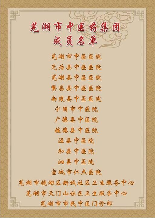 乘十九大春風(fēng) 譜中醫(yī)藥發(fā)展新曲 ——蕪湖市中醫(yī)藥集團(tuán)成立大會(huì)順利舉行(圖4)