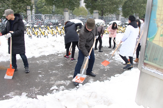 方便市民出行 我院黨員干部職工上路鏟雪(圖11)
