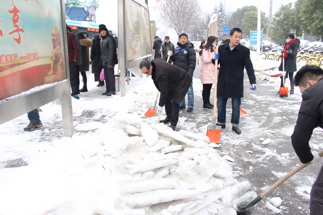 方便市民出行 我院黨員干部職工上路鏟雪(圖14)