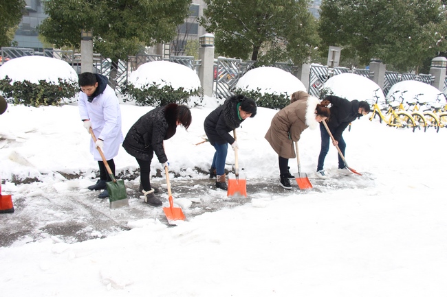 方便市民出行 我院黨員干部職工上路鏟雪(圖15)