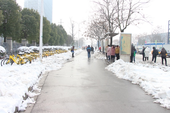 方便市民出行 我院黨員干部職工上路鏟雪(圖23)