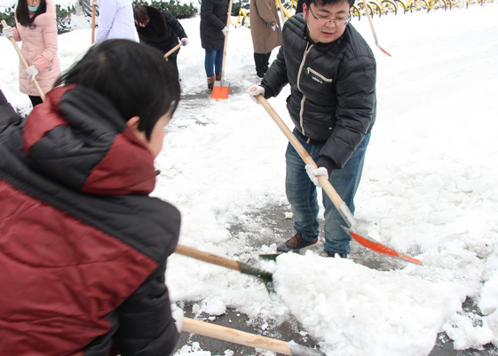 方便市民出行 我院黨員干部職工上路鏟雪(圖17)