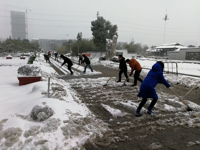 方便市民出行 我院黨員干部職工上路鏟雪(圖1)