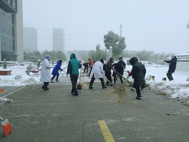 方便市民出行 我院黨員干部職工上路鏟雪(圖3)
