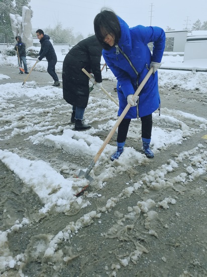 方便市民出行 我院黨員干部職工上路鏟雪(圖4)