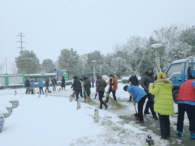 方便市民出行 我院黨員干部職工上路鏟雪(圖7)