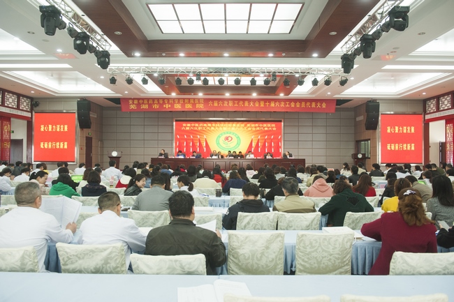 凝心聚力謀發(fā)展 砥礪前行續(xù)新篇 ——我院六屆六次職代會暨十屆六次工代會勝利召開(圖1)