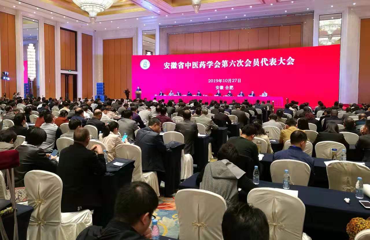 傳承精華 守正創(chuàng)新——安徽省中醫(yī)藥學(xué)會2019年年會暨黃山論壇在合肥召開(圖2)