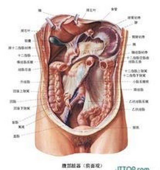 1 (復制).jpg