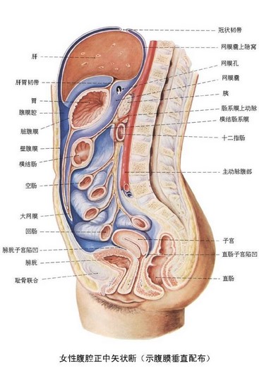 2 (復制).jpg