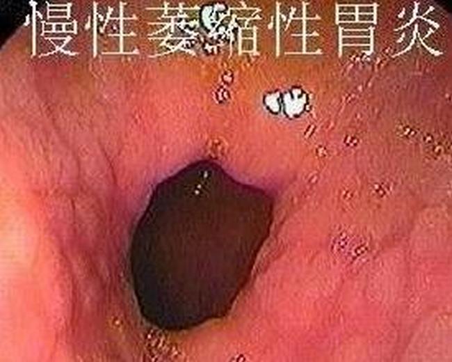 圖片1 (復制).jpg