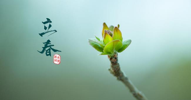 圖片1 (復(fù)制).jpg