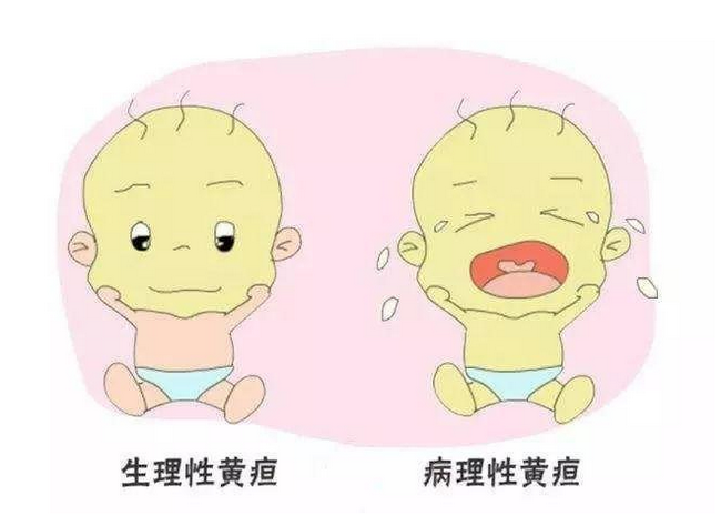 2 (復制).png