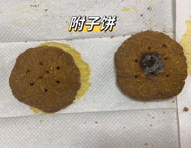 圖片3 (復制).jpg