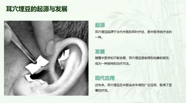 圖片29 (復制).jpg