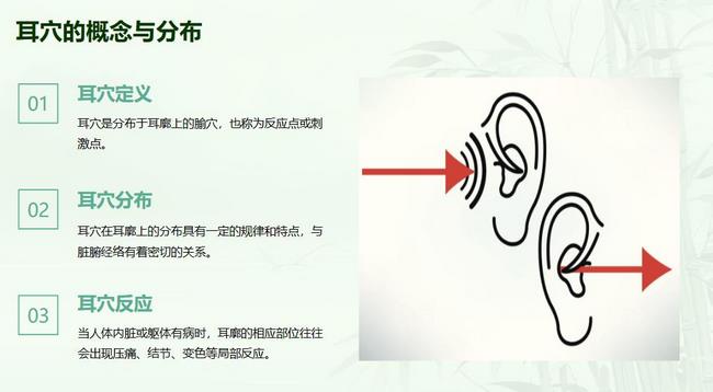 圖片17 (復制).jpg