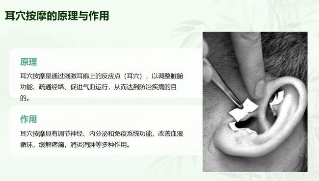 圖片18 (復制).jpg