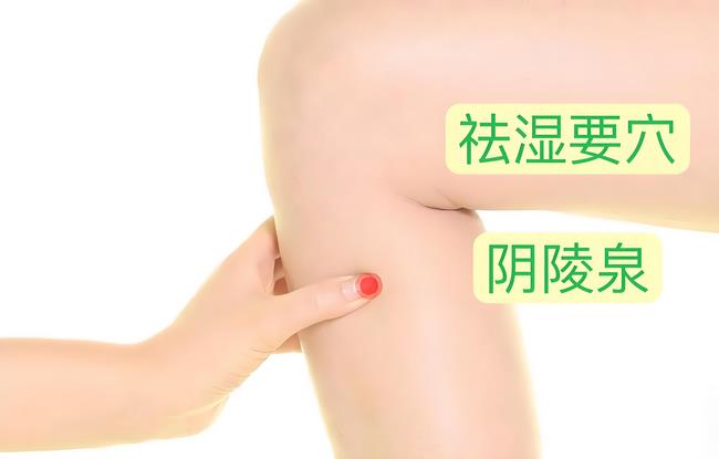 陰陵泉穴 (Copy).jpg